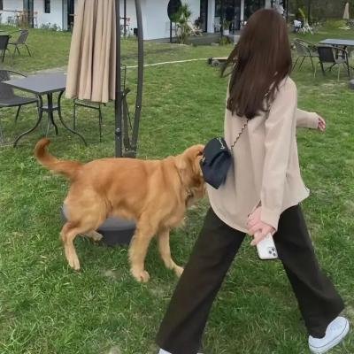 超完美杀手